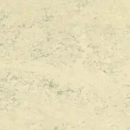 MCT 3050 white birch